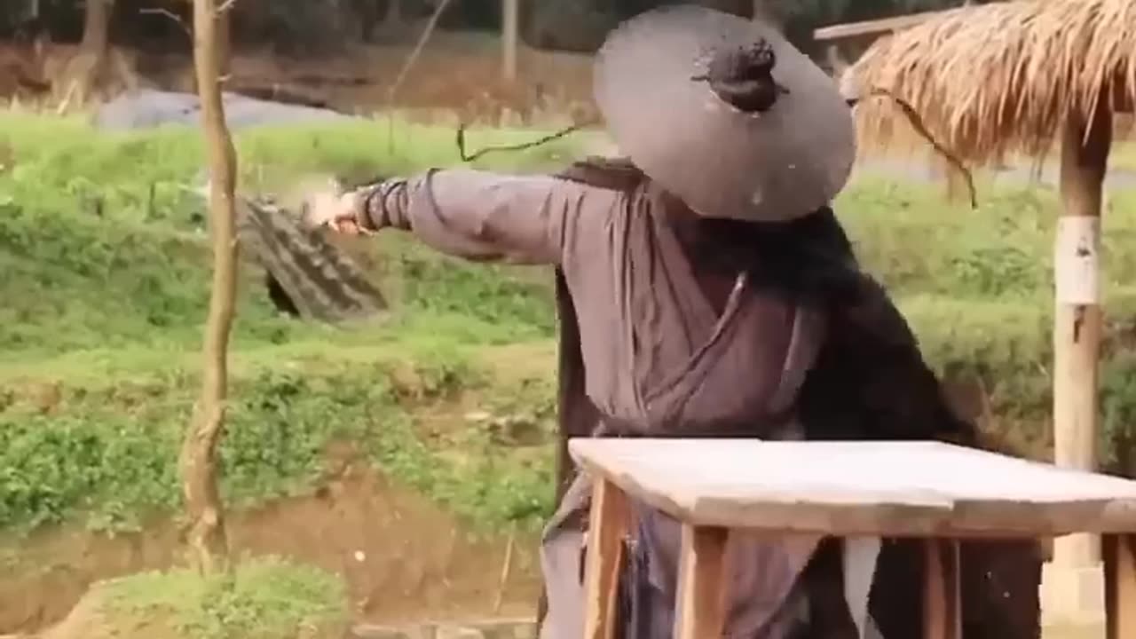 kung fu warrior vs flaying chicken who is better #viral #tranding