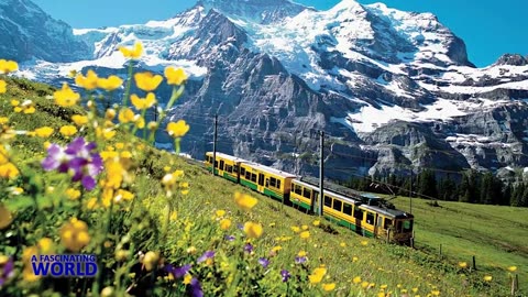 Summer in Switzerland Travel