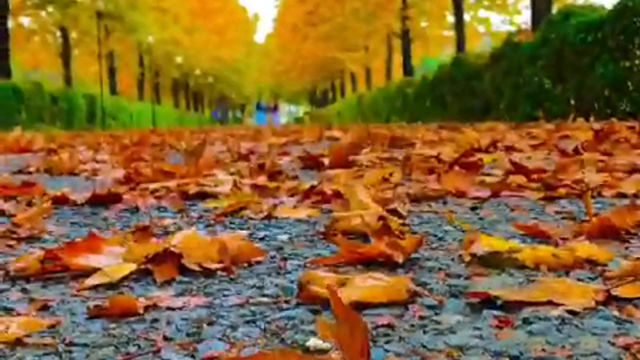 Leaf 🌿 me alone......