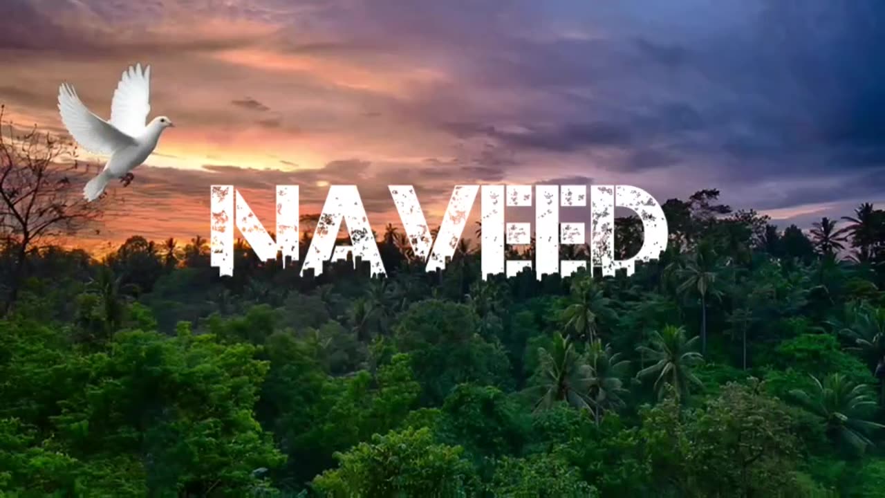 Name animations