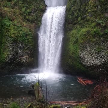 Natural Video Clips # - 38