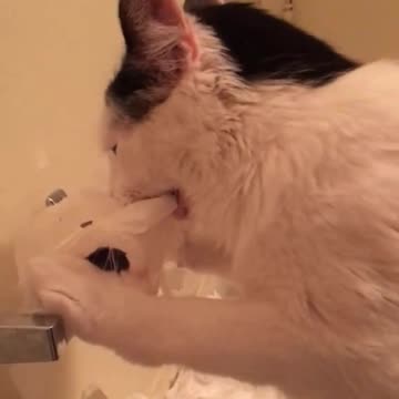 I love the new toy I got 🤣🤣🤣