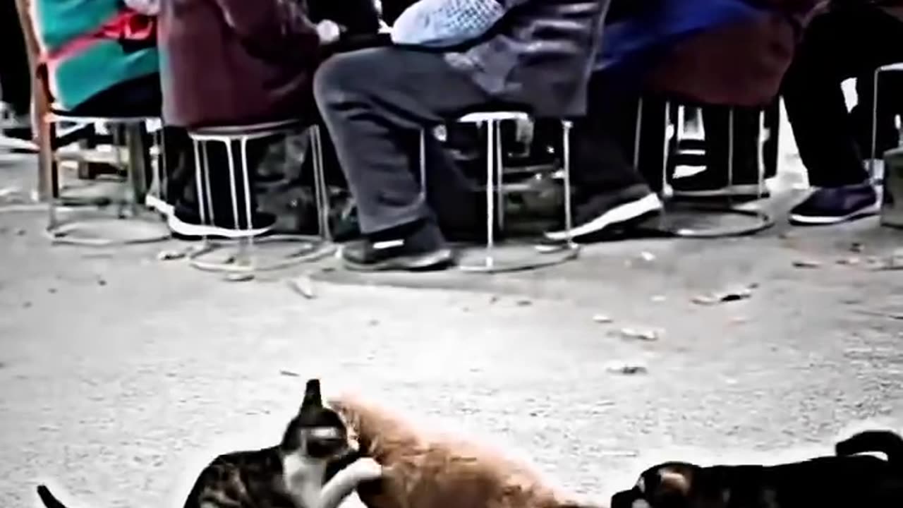 🤣🤣🤣👍👏👏