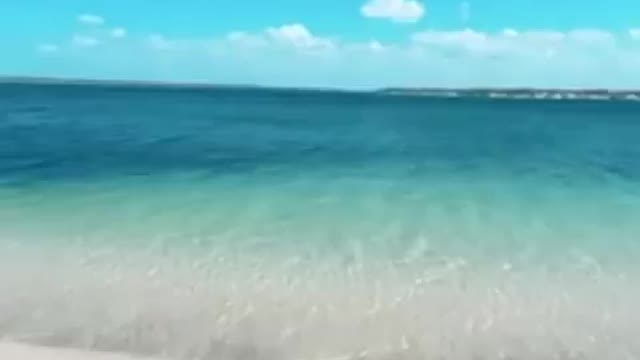 Marque o seu companheiro para ele lhe trazer a Jericoacoara