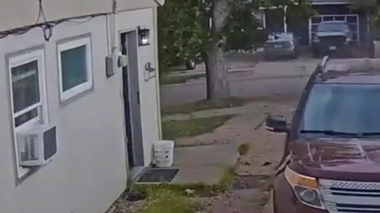 Lightning strikes tree on camera