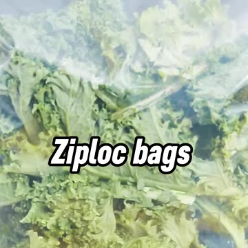 Senator Kennedy, Classic, as always