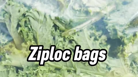 Senator Kennedy, Classic, as always