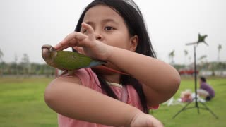 Bebé Pyrrhura Molinae (periquito verde-Cheeked)