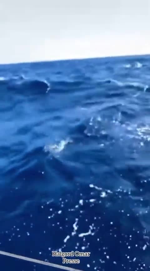 Σε ιστιοφόρο με προορισμό την Ιταλία, ένας Κούρδος απο το Ιράκ πετάει το διαβατήριο του στη θάλασσα.