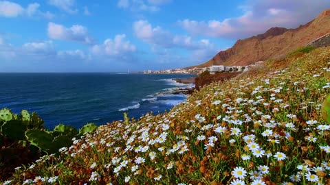 The ocean and the hill of flowers