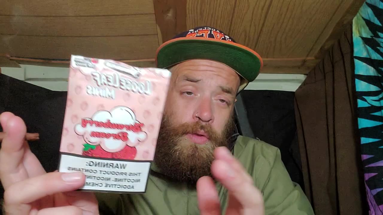 Loose Leaf strawberry dreams minis review