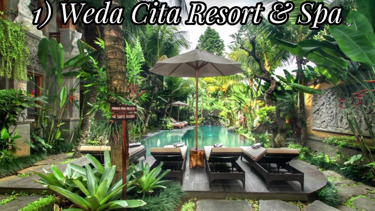 5 Most Budget 100$ Recommended Hotels Ubud Bali