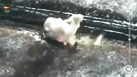 Amazing Cinematic Combat Footage from Ukrainian Soldiers