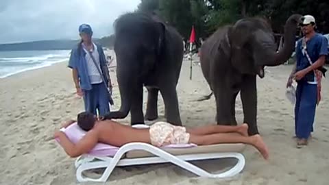 Getting An Elephant Massage In Thailand Might Not Be A Good Idea