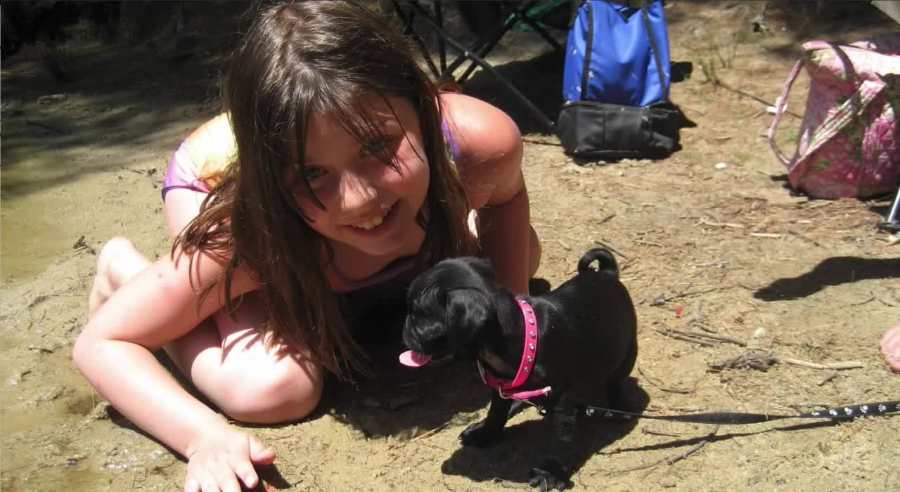 MY FAMILY WITH PUGS SLIDE SHOW