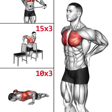Chest Home Workout Exercises