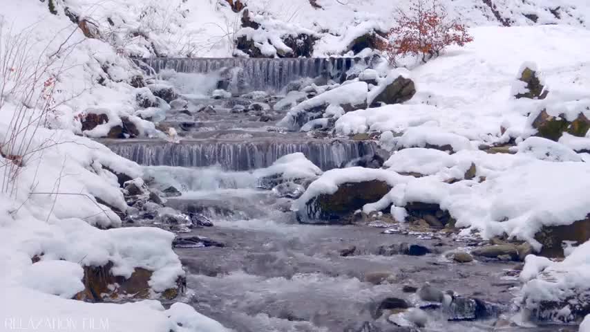 Snow Winter 4K Relaxation Film Meditation