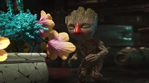 I am groot