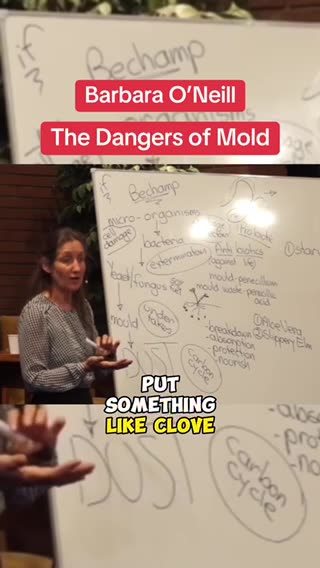 The Dangers of Mold.