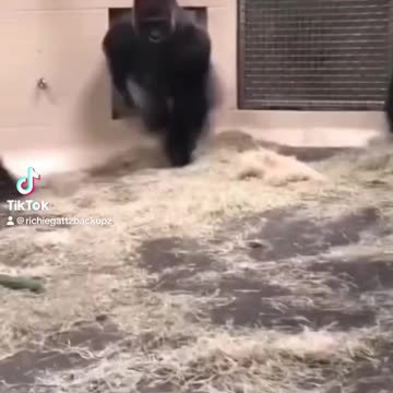 How did this come to mind? 😭😭