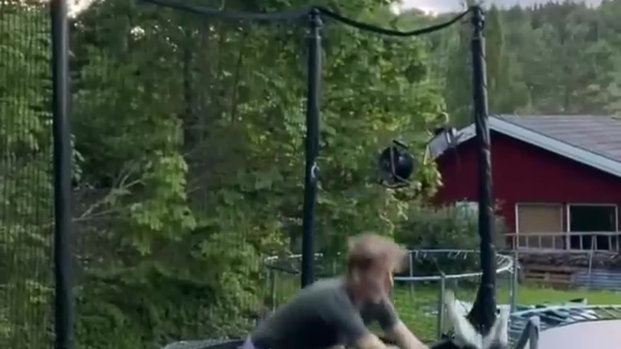 Cat Quickly Regrets Hopping Onto Trampoline