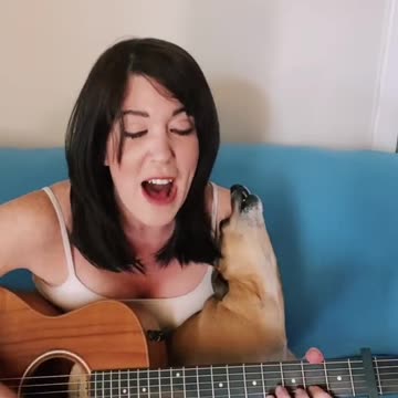 THIS PUPPY IS ON FIRE.mp4