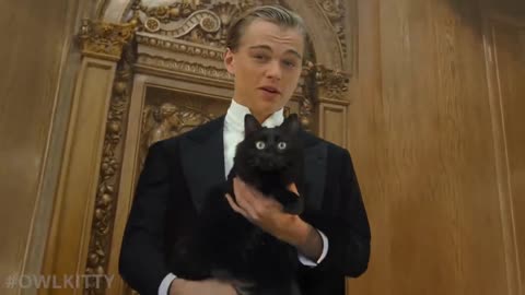 Titanic with a Cat