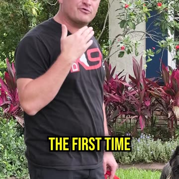 How to Get a Highly Distracted Dog to Listen to You