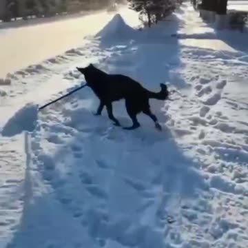 Helping out with the snow clearing 😊