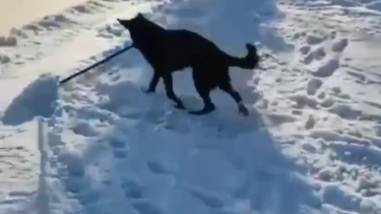 Helping out with the snow clearing 😊