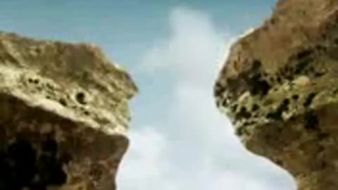 Ants Interesting story (مکوڑے) | Short videos | #viral #rumble #funny #cartoon