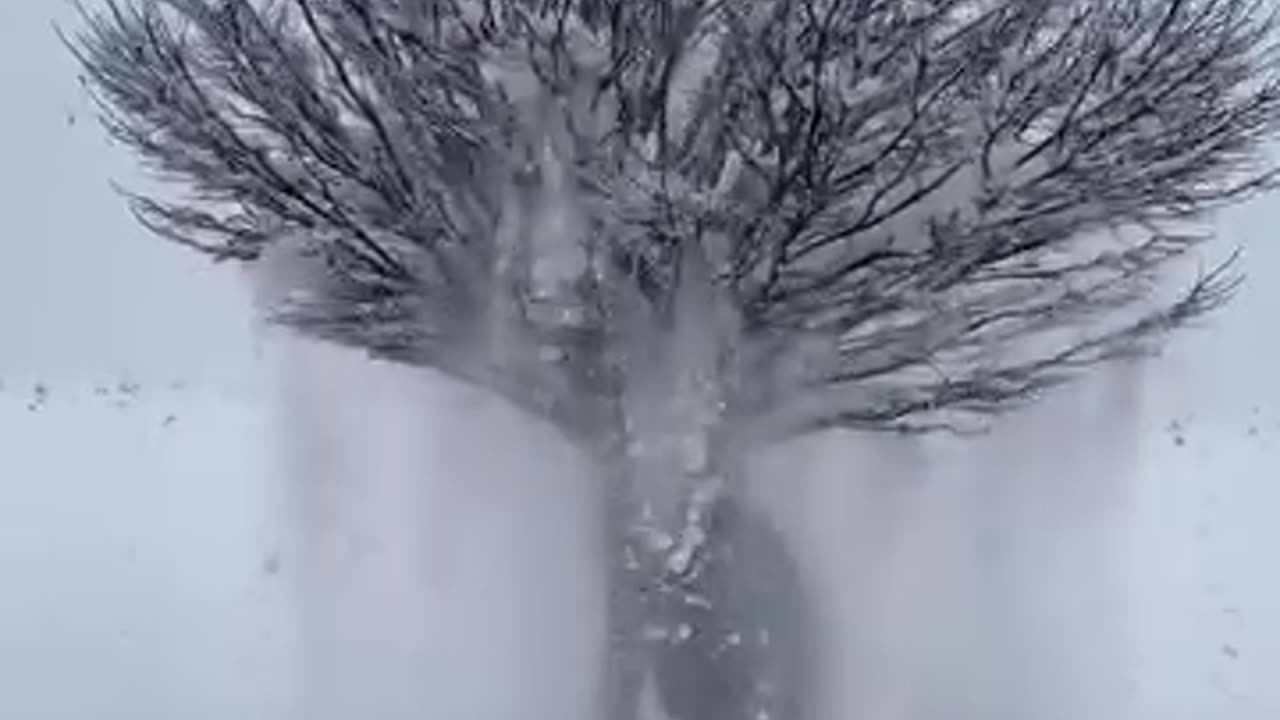 snow shower