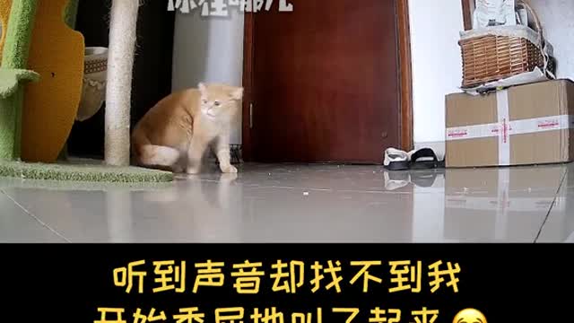 I'm sorry. I can't take you with me