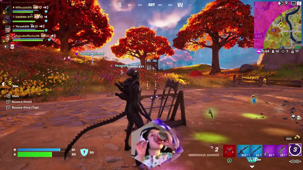 Fortnite Win #19