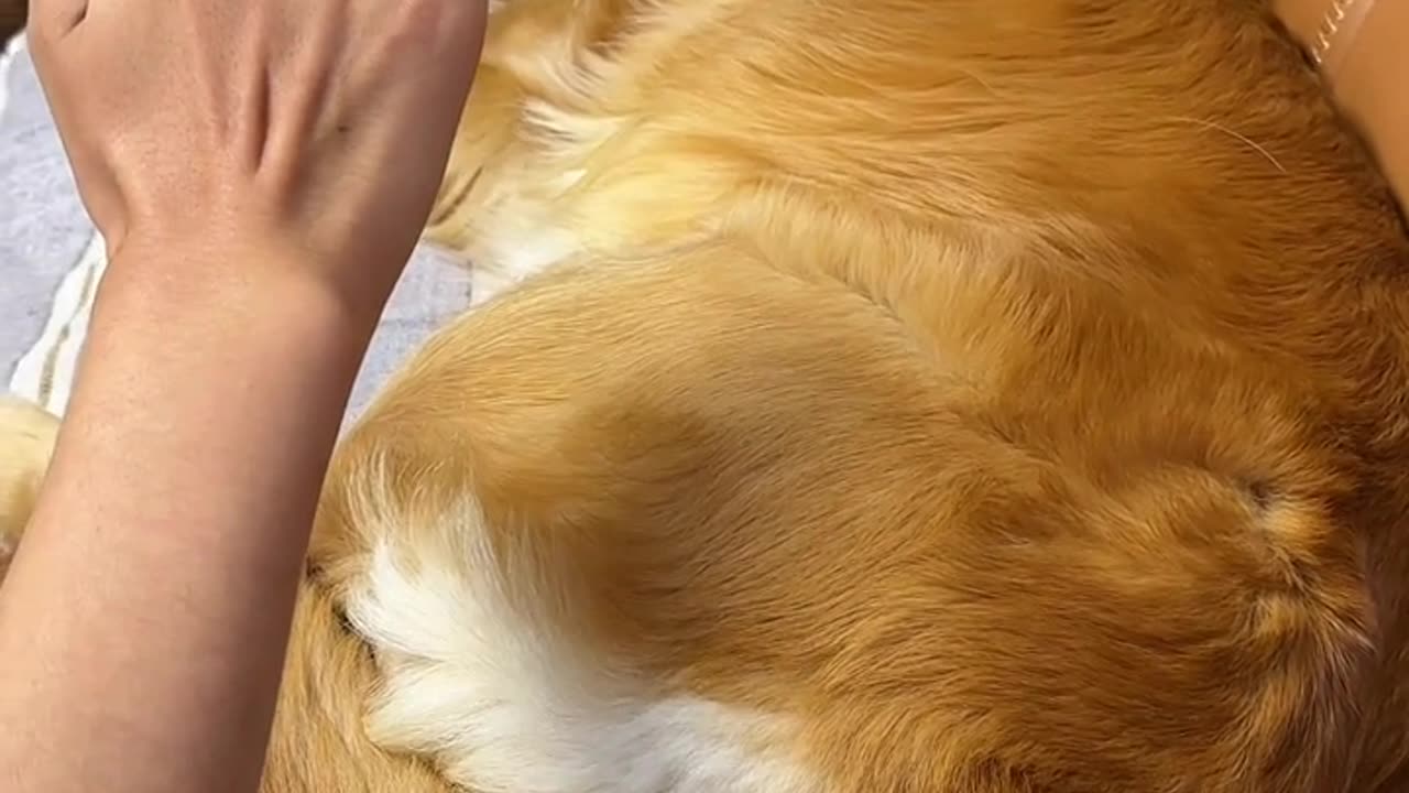 Funny video 📷📷🥰🥰🥰