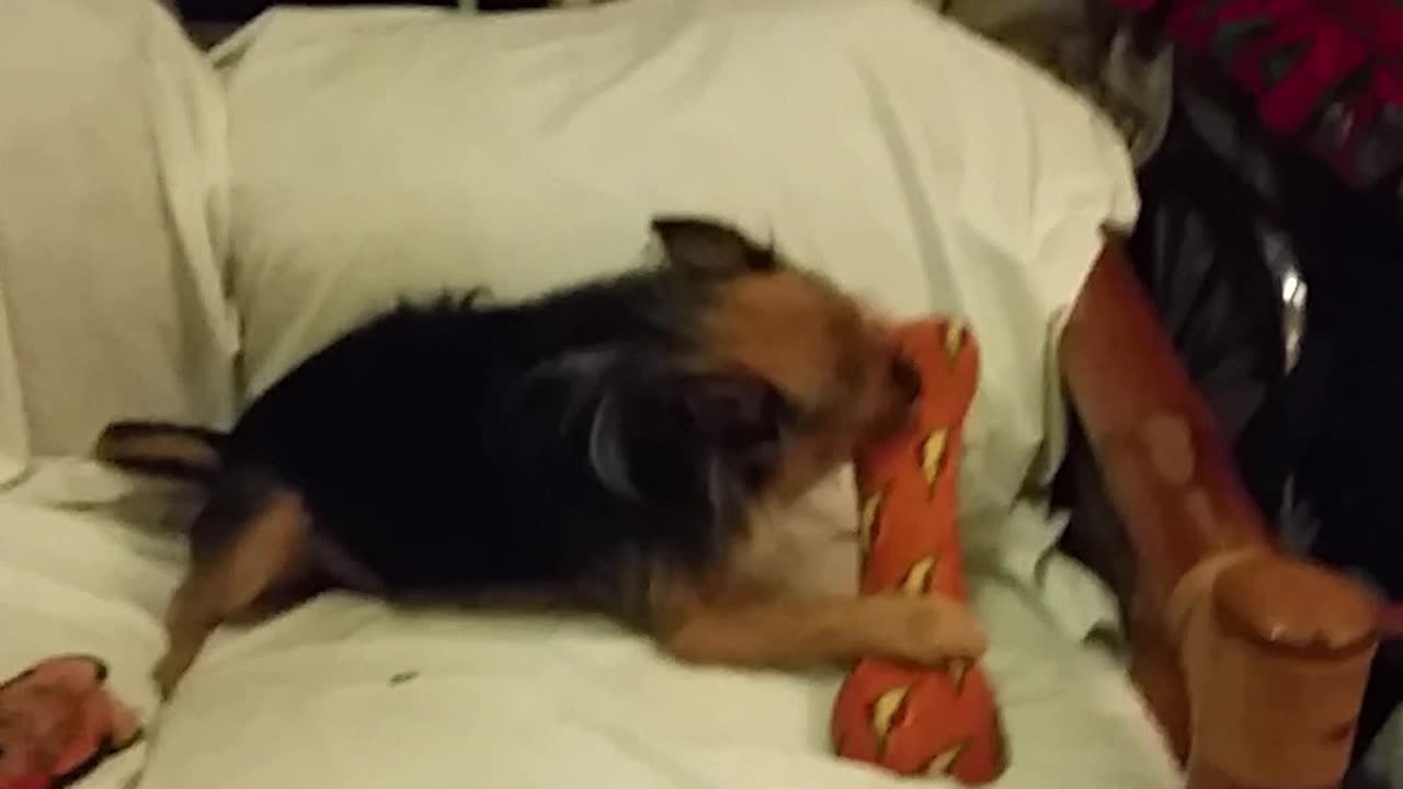 It's Dead... I Don't Want It