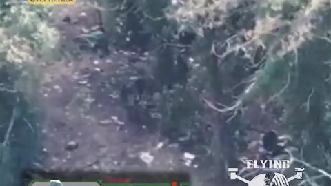 Wait for the Drop(Relentless Drone Strikes on Russian Mechanized Infantry)