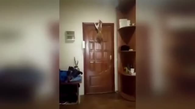 Funny everyday