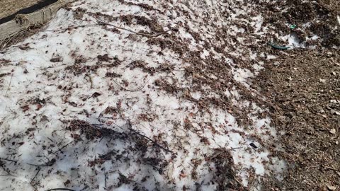 Last snow