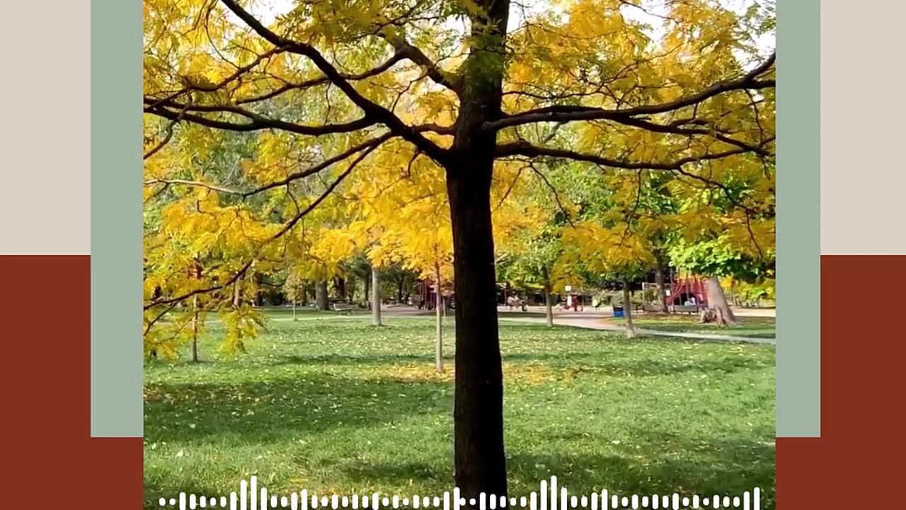 من الأمور التي تميز المسلم عن غيره