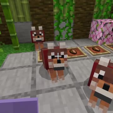 Family Additions :) Minecraft