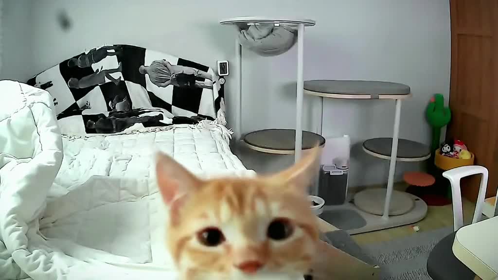 Why are you hitting me