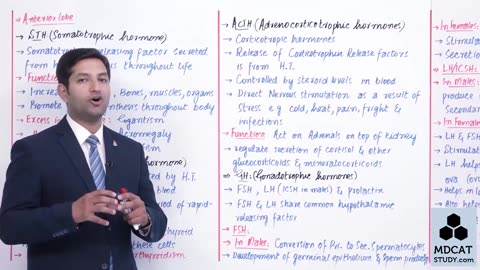 LEC#20 PITUITARY GLAND (ANTERIOR LOBE)