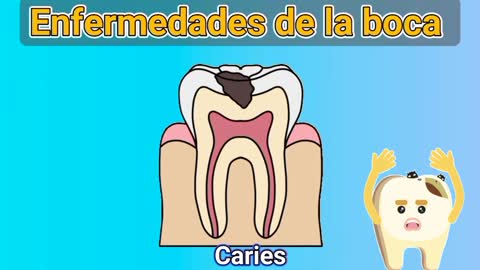 Conoce todos sobre tus DIENTES 🦷🦷🦷🦷🦷(VIDEO EDUCATIVO)