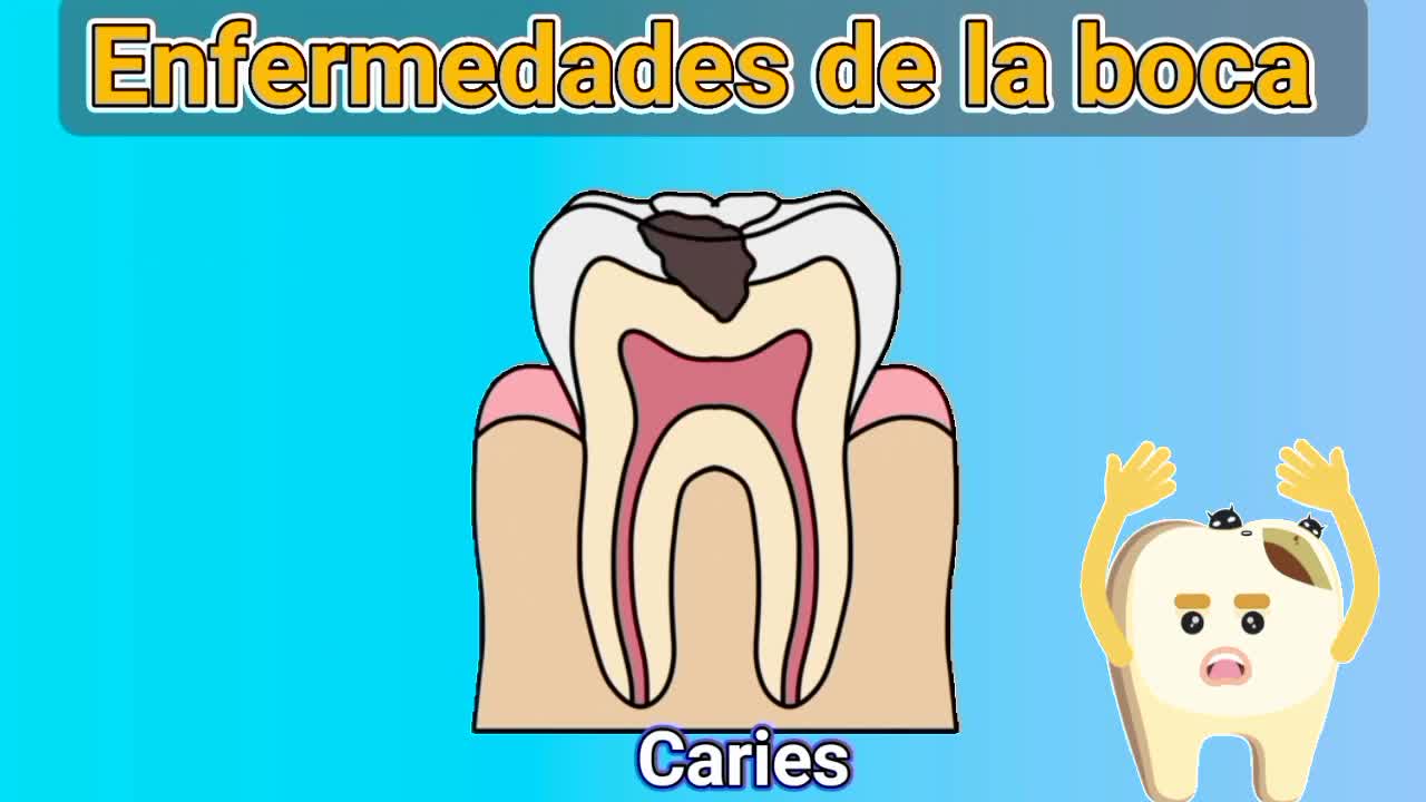 Conoce todos sobre tus DIENTES 🦷🦷🦷🦷🦷(VIDEO EDUCATIVO)