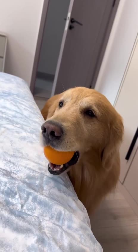 Breakfast in bed service 😊