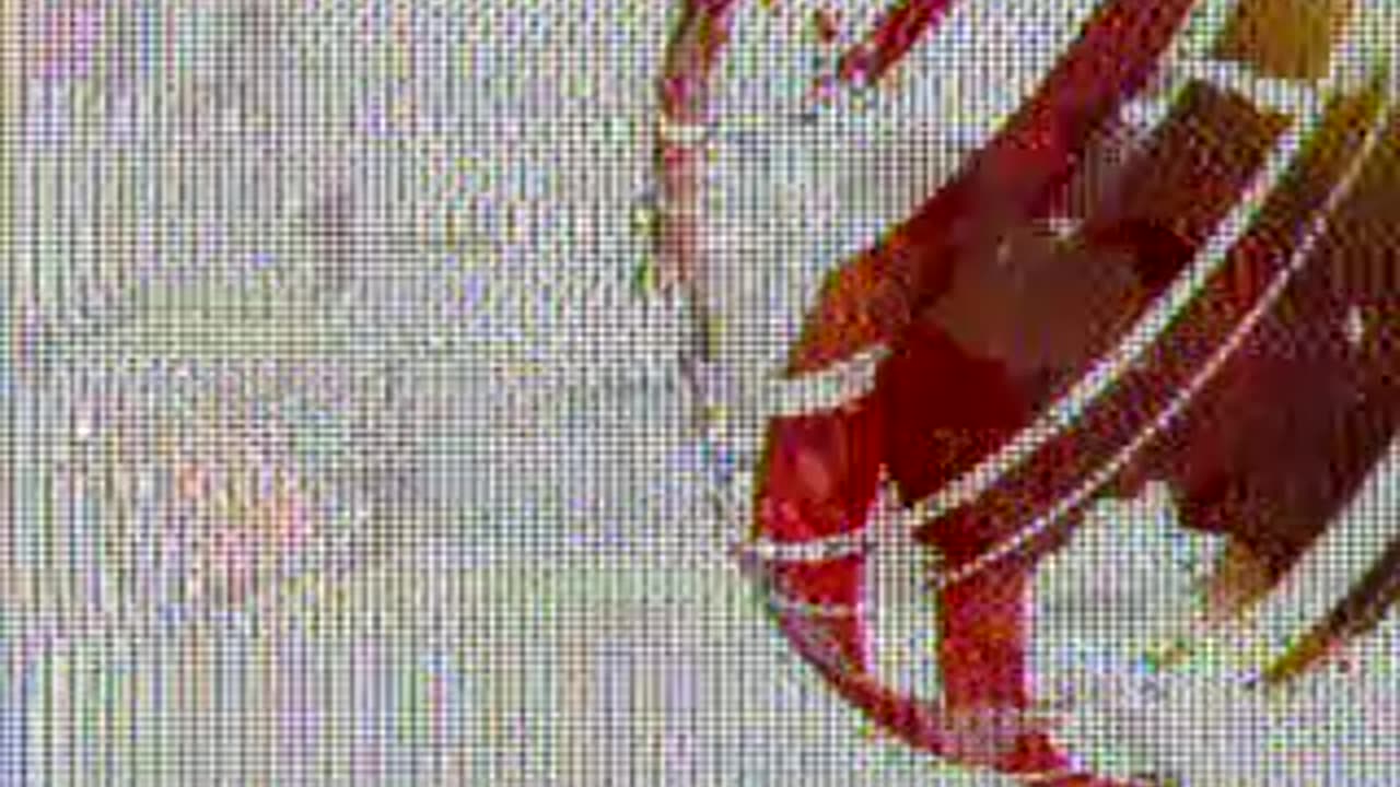 hotcitytape 17