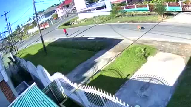 Critical Condition Dude Gets Hit By A Car