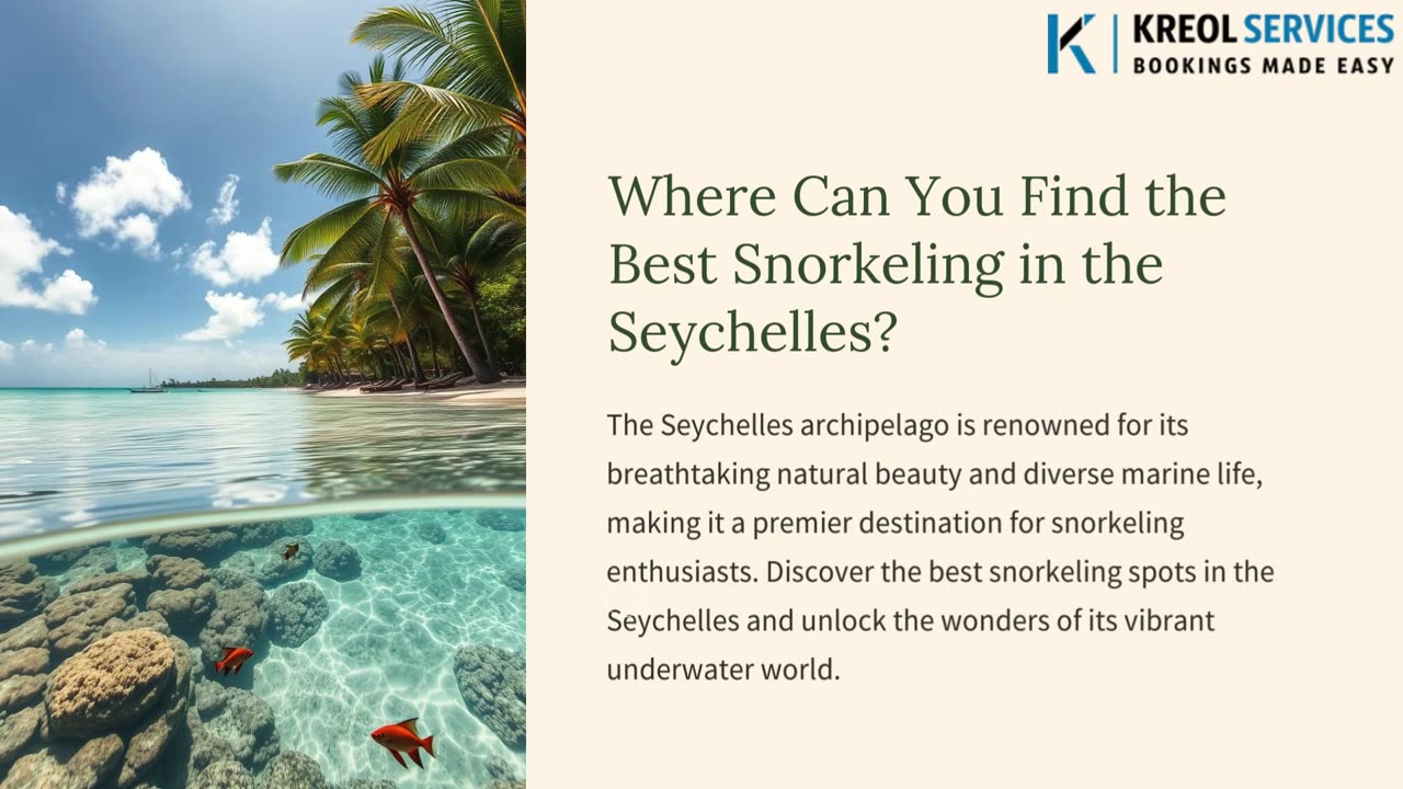 Where Can You Find the Best Snorkeling in the Seychelles.