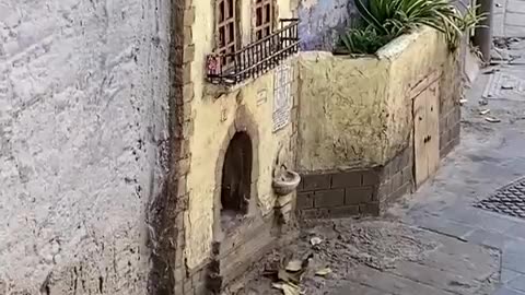 Kitty has a nice little home